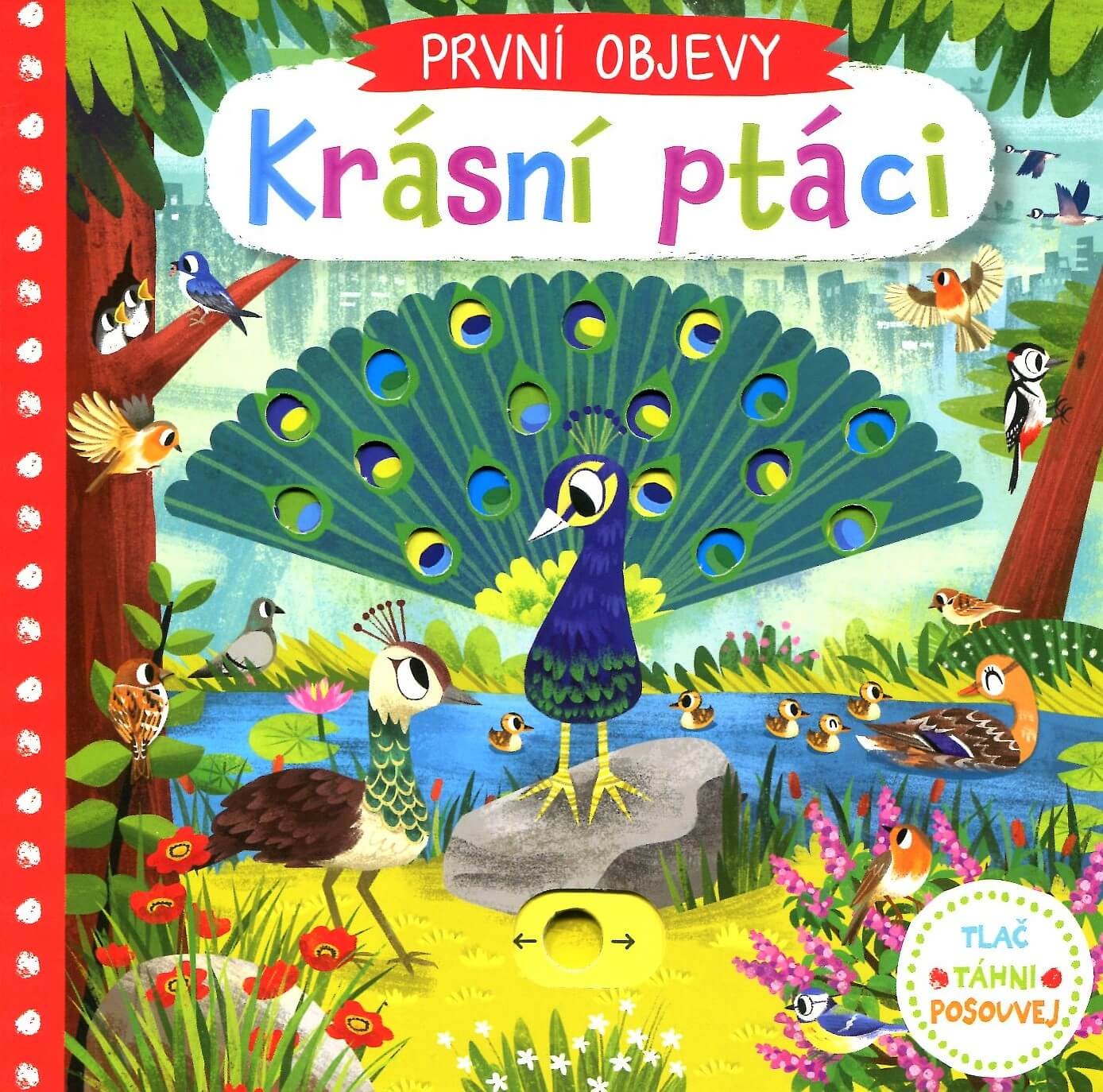 První objevy: Krásní ptáci Chorkung