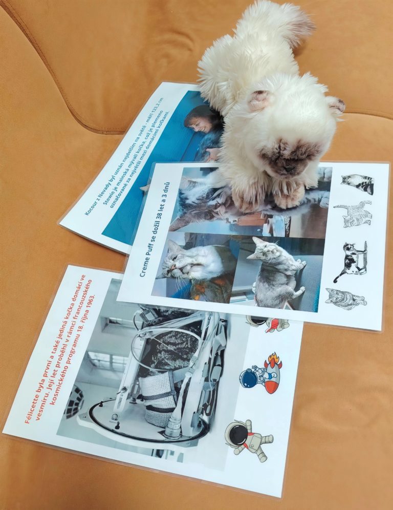 MŠ Perníček 17.3.2026