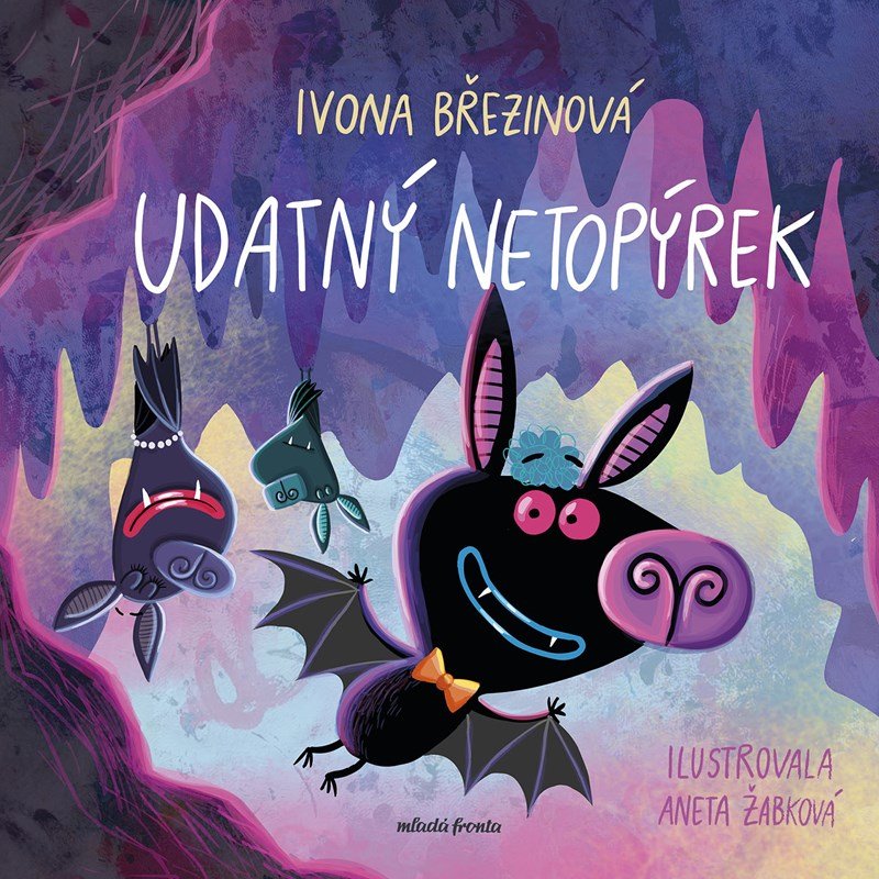 Udatný netopýrek Udatný netopýrek