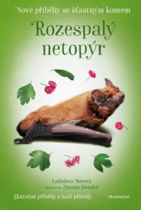 rozespalý netopýrek