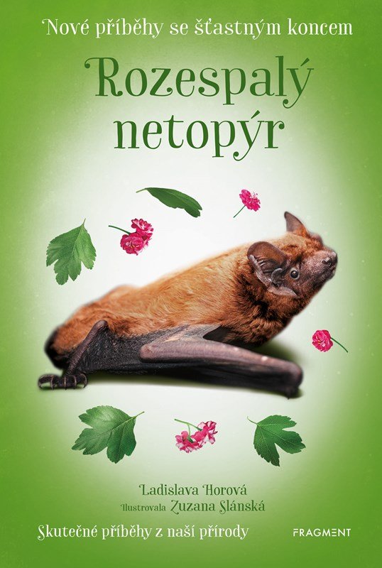 rozespalý netopýrek