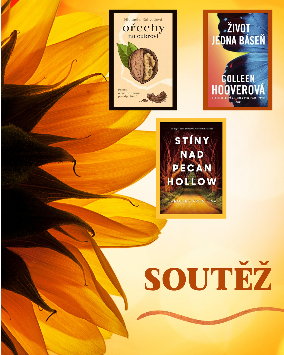 soutěž