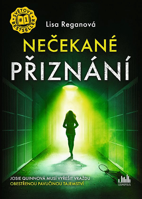 Nečekané přiznání/ Lisa Regan