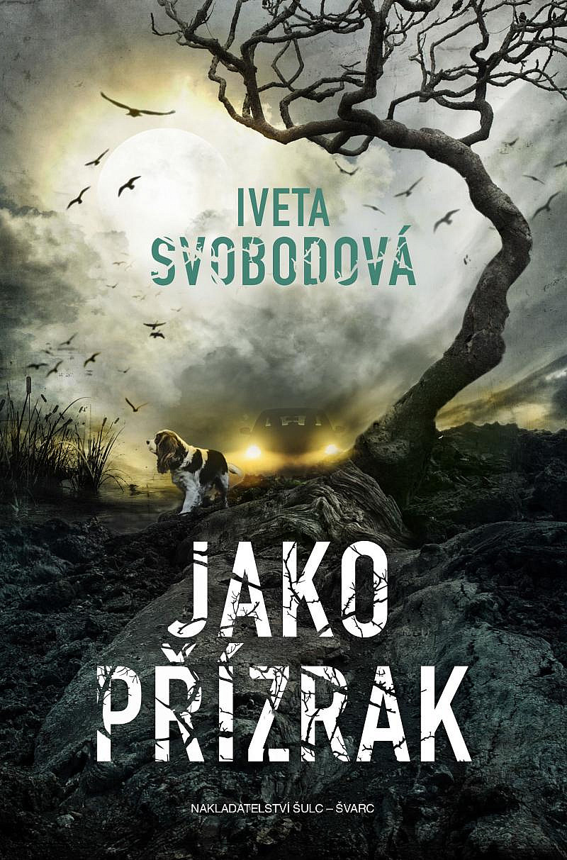 Jako přízrak Iveta Svobodová