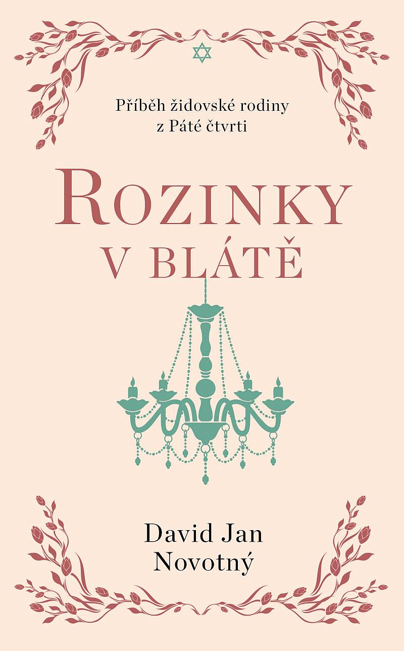 Rozinky v blátě - Dva tucty střepů David Jan Novotný