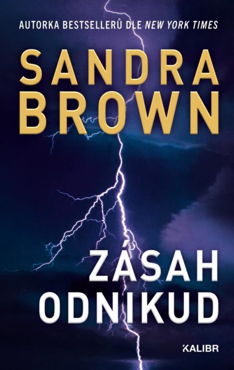 Zásah odnikud Sandra Brown