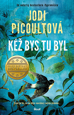 Kéž bys tu byl/ Jodi Picoult