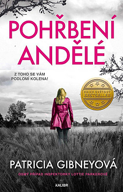 Pohřbení andělé/ Patricia Gibney