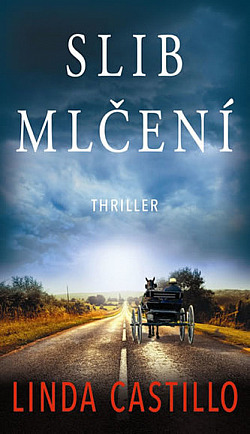 Slib mlčení/ Linda Castillo