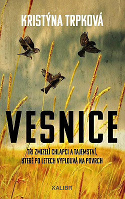 Vesnice/ Kristýna Trpková